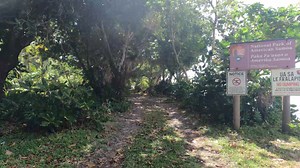 View of the tranquil trailhead at Pola. Tall trees and lush greenery frame the scene, their leaves gently rustling in the breeze. The sound of the ocean waves crashing against the shore fills the air, creating a soothing background. Sunlight filters through the branches casting dappled shadows on the path ahead. | National Park of American Samoa