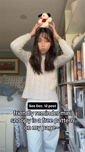 mei mei ˚ ༘♡ ⋆｡˚ meiscrochet on Instagram: "Free pattern on December 12th post! #Snoopy"