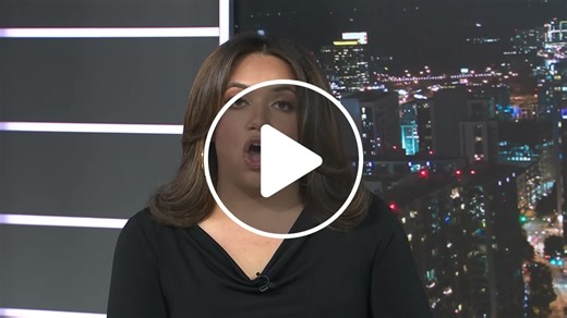 Family remembers woman killed while ziplining in Puerto Rico - NewsBreak