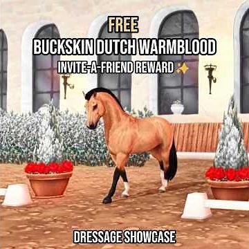FREE HORSE: Buckskin Dutch Warmblood 🎁🐴 Star Stable Online Dressage Showcase ✨