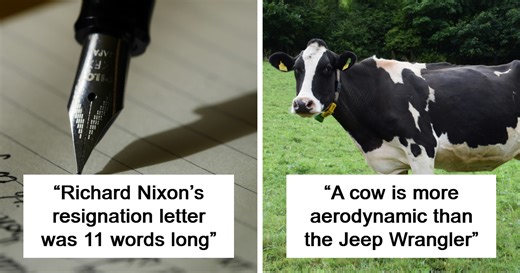 44 Truly Random Facts That Are Still Better Than The News