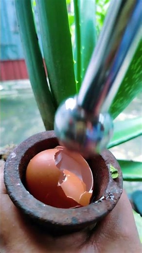 Why I Put Eggshells in Aloe Vera | Genius Gardening Hack!