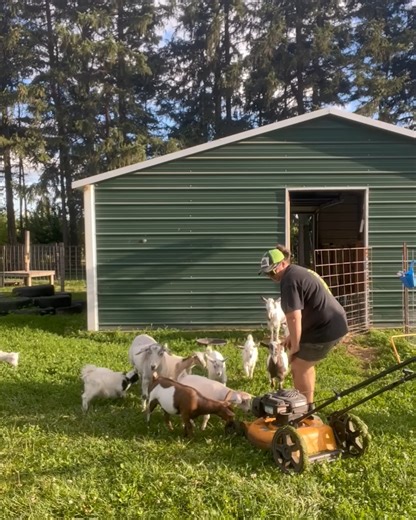 397K views · 3.8K reactions | Everybody freeze!  | The Pet Collective | Facebook