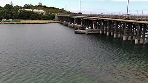 Fremantle Traffic Bridge from the Air and Under the Water We took our drones to the Traffic Bridge, one of the best flathead spots downstream in the Swan River, to show you why it's such a great spot for them. You'll be able to see the type of weed, what they're using for camo and where the dropoffs are. It's easy to see why flatties love it here. | Perth Fishing TV