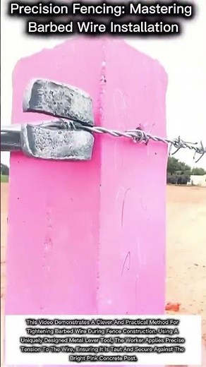 Precision Fencing: Mastering Barbed Wire Installation