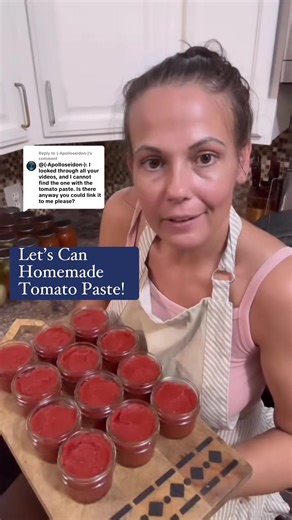 Homemade Canned Tomato Paste Recipe Guide