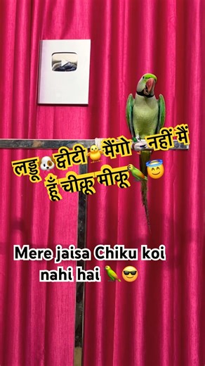 Bolne Wala Tota 🦜#funny #trending #viral #parrot #cute #comedy #viralshorts #youtubeshorts #shorts