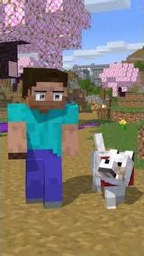 The Best Minecraft Animations by Stumble part1