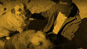 178 reactions · 97 shares |  Esto es lo que somos. Esto es lo que hacemos   630 169 331 ✉️ automascotas@automascotas.com www.Automascotas.com | AutoMascotas, cuidamos de tu mascota | Facebook