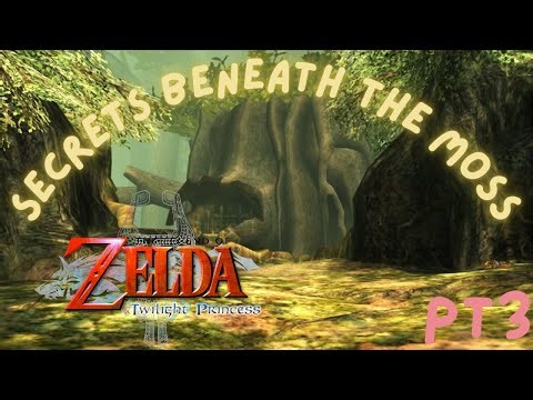 Zelda Twilight Princess: Forest Temple Secrets
