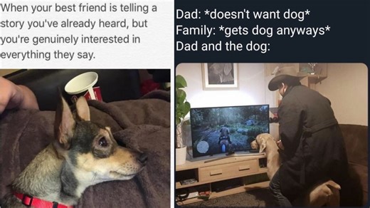 19 Funny And Wholesome Memes Perfect For A Quick Laugh