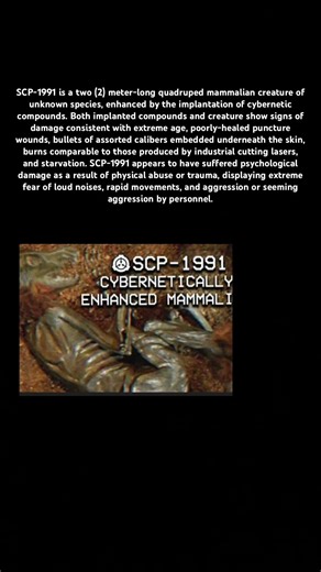 Random SCP of the day #scpfoundation