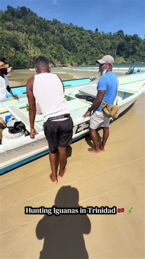Iguana Hunting Adventure in Maracas Bay