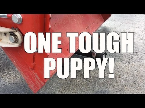 Husky Unbreakable Aluminum Flashlights