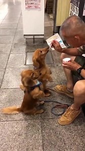 Snack-Zeit. 😃 | Deutsch lernen mit vielen Übungen