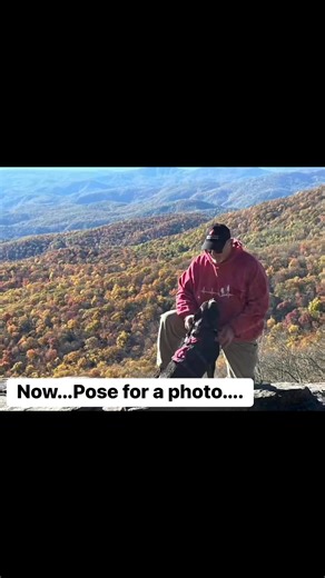 Hiking with an Australian Cattle Dog. Fun or kamikaze? | Dingo N Xena - Australian Cattle Dogs