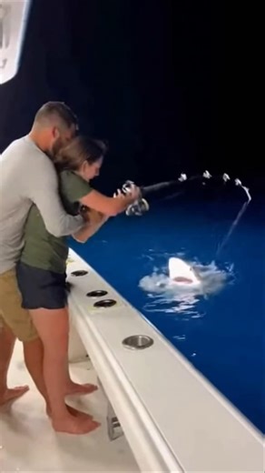 Giant Shark Breaches During Shark Fishing