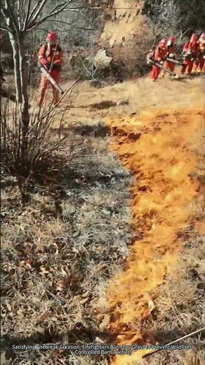 Satisfying Firebreak Creation: Firefighters Burn Dry Grass to Prevent Wildfires