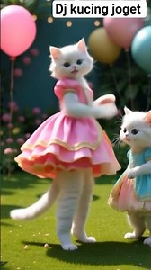 kucing joget bikin kita ketawa ngakak #lucu #kucing #viral