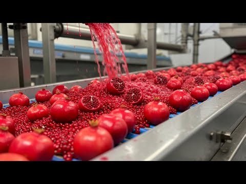Inside the Pomegranate Juice Factory: The Secret Process Revealed! 🍷✨ | Hidden Process
