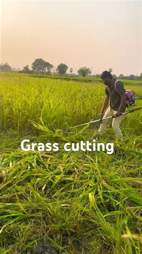 Grass cutting machine #grasscutter #agriculture