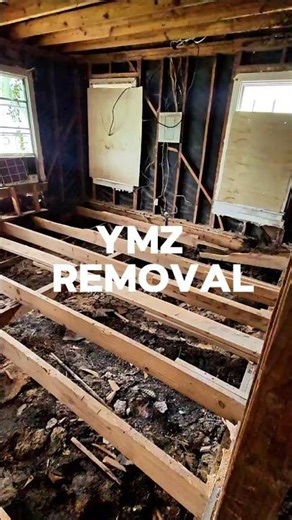 Fall interior demo💯