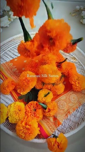 banarasi saree - different types of banarasi sarees with price | banarasi silk sarees