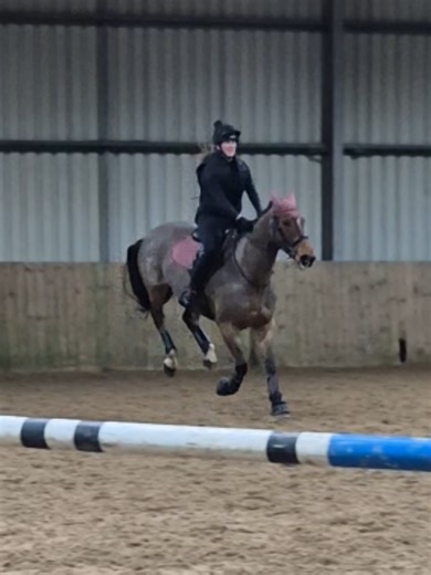 Unexpected Horse Jumping Adventure