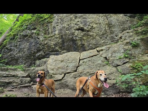 Maquoketa caves