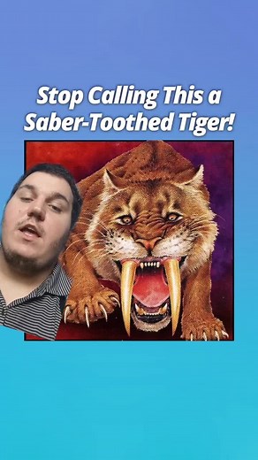 Christian Hannah on TikTok