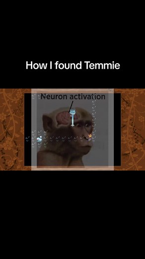Undertale: How to Find Temmie Village (Secret Path!)