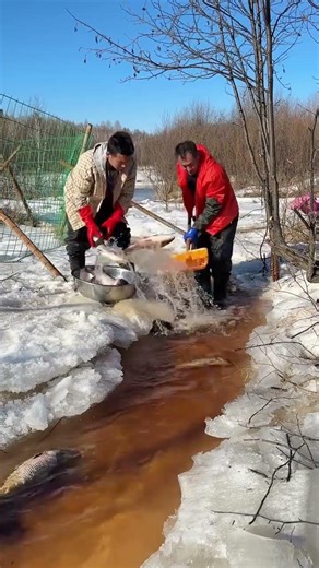 Frozen Catch ❄️🐟