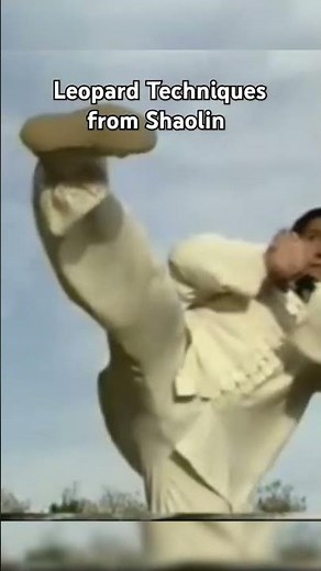 Leopard Techniques from Shaolin #kungfu #martialarts #shaolinkungfu #shaolin