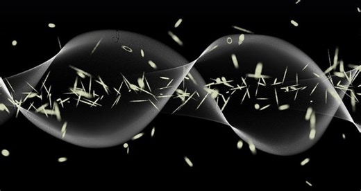 X-Linked Gene May Increase Women's Disease Risk | Genetics And Genomics