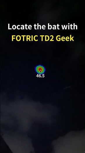 Locate the Bat with FOTRIC TD2 Geek Smartphone Acoustic Imager
