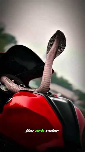 R15 V4 red modified with snake 🐍🔥 #r15v4 #ytshorts #shorts #viralshorts