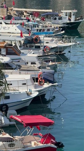 4K Cute Fishing Boats in the Harbor | Peaceful Marina Atmosphere | Silent Nature B-Roll
