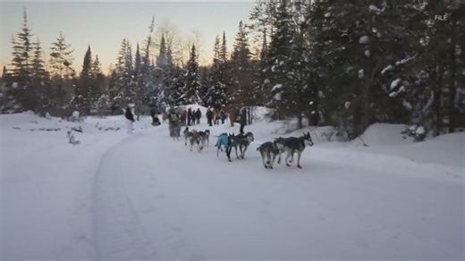 Winter in full swing despite major sled dog races postponing events