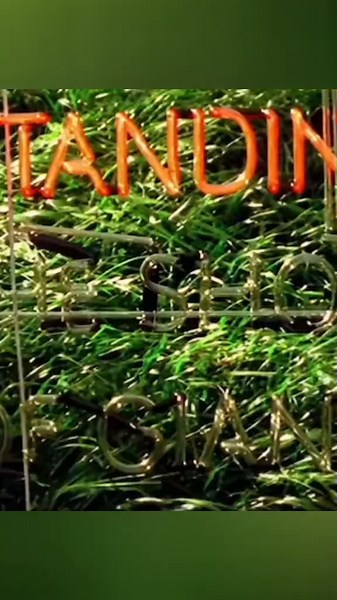 Watch Oasis 'Standing On The Shoulder Of Giants' in 4K