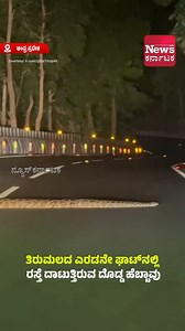 64K views · 870 reactions | ಮೈ ಜುಮ್ಮೆನಿಸುವ ದೃಶ್ಯ, ತಿರುಮಲದ ಎರಡನೇ ಘಾಟ್‌ನಲ್ಲಿ ರಸ್ತೆ ದಾಟುತ್ತಿರುವ ದೊಡ್ಡ ಹೆಬ್ಬಾವು. #AndhraPradesh #Python #roadcrossing #newskarnataka Courtesy: x.com/@GoTirupati | News Karnataka | Facebook