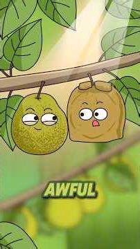 Bagged Pear vs. Unbagged Pear