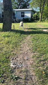 8.2K reactions · 503 comments | It’s always a #happymonday with this...