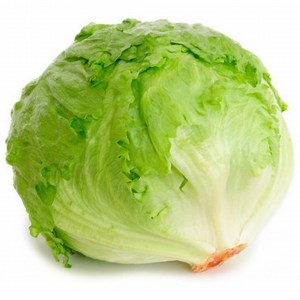 Lettuce Iceberg Heading Seeds Non-gmo, Open Pollinated, Heirloom for Hydroponics, Aquaponics, Soil, Raised Bed, Indoor, -9.1303 - Etsy