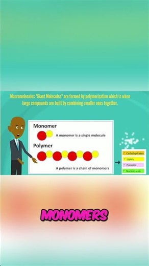 Giant Molecules Explained: Monomers, Polymers, and the 4 Macromolecules! #shorts