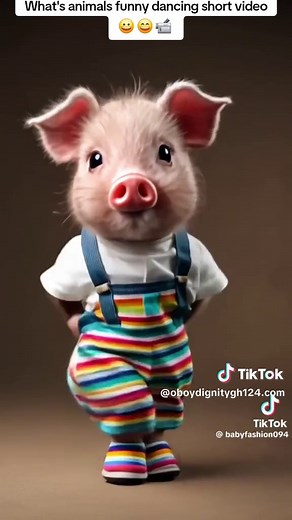 Funny Animal Dancing Compilation: Joyful Moments