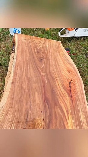 Everyone Called This Elm Firewood, but Watch What’s Inside! Chainsaw Milled- Granberg Alaskan Mill