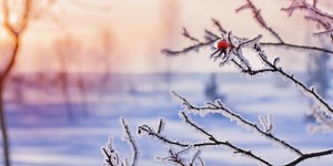 Контраст від -12 до  7. Синоптикиня попередила про сильний мороз в Україні та небезпеку від переохолодження