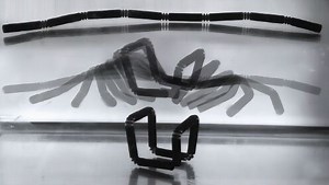 革命性技术，MIT研发4D打印技术，比3D打印更牛