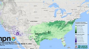 Spring arriving earlier than ever in North Jersey, and so are pollen and allergies