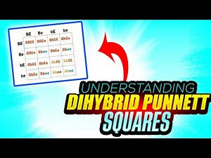 Learn Dihybrid Punnett Squares – Fun Genetics Song!